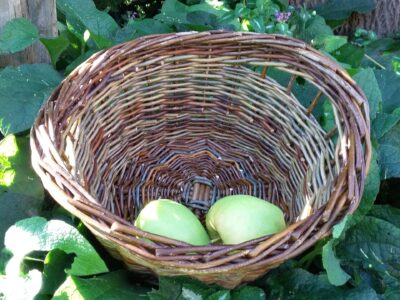 Workshop mandvlechten